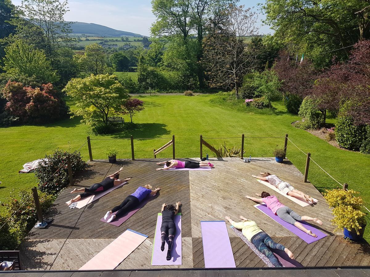 Creacon Wellness Retreat Hotell New Ross Eksteriør bilde