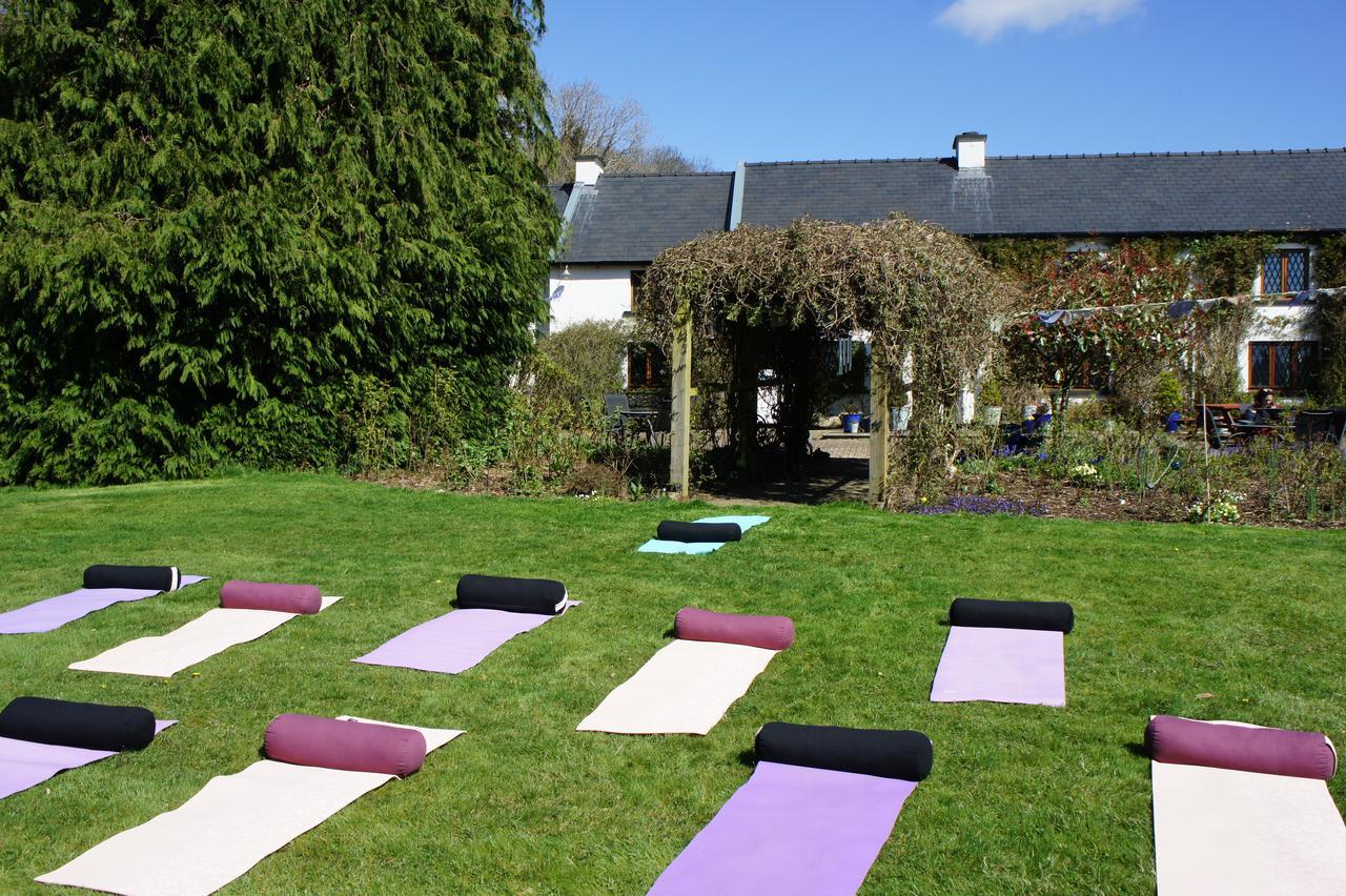 Creacon Wellness Retreat Hotell New Ross Eksteriør bilde
